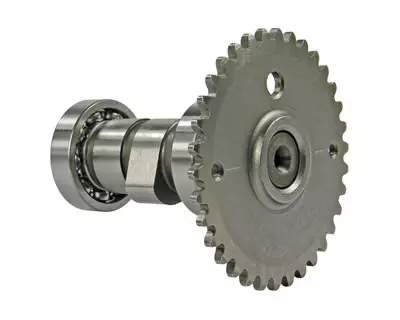 allesvoorscooters1-1195911
