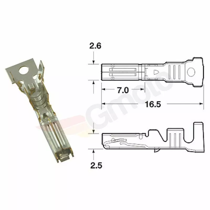 gmoto-1269404
