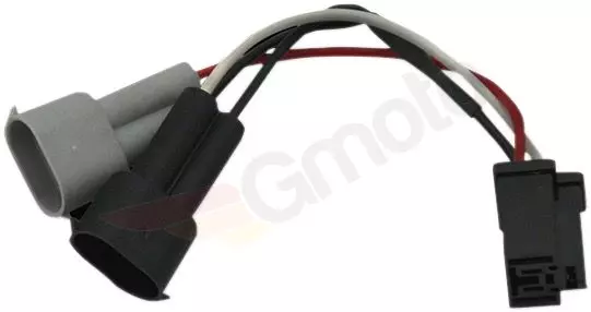 gmoto-1301751
