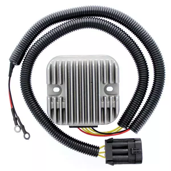 gmoto-1329058