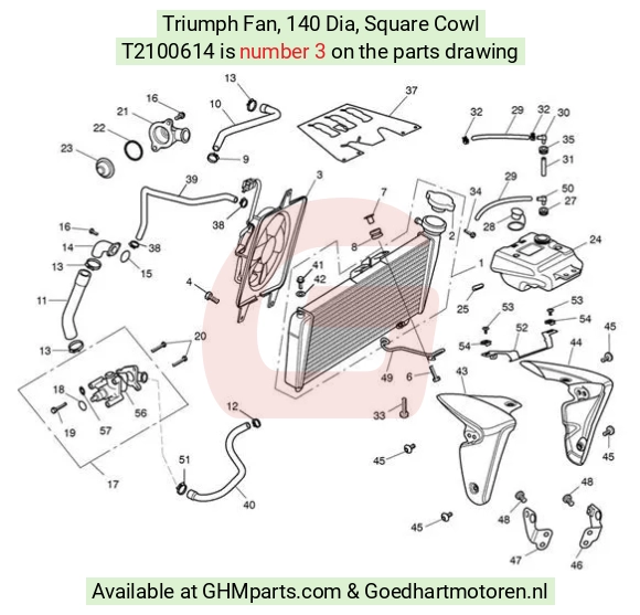 goedhartmotoren3-53166
