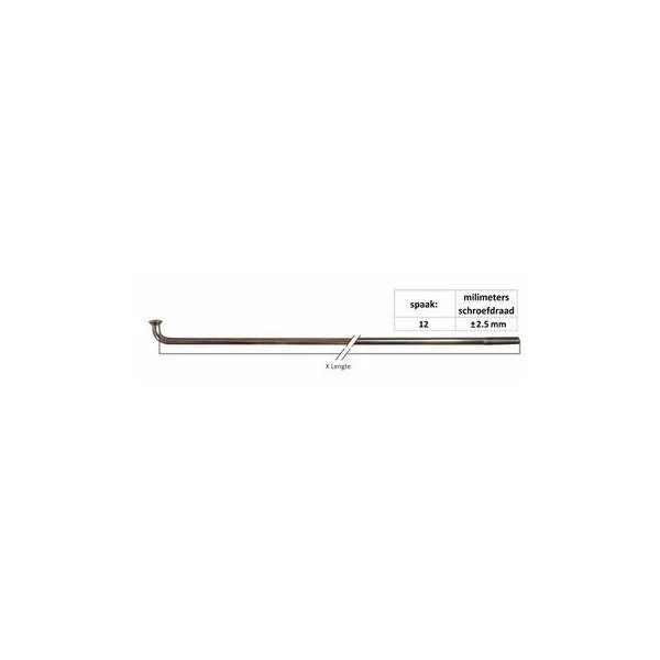 hollandbikeshop1-1225154