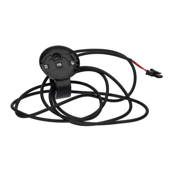 hollandbikeshop1-1267028